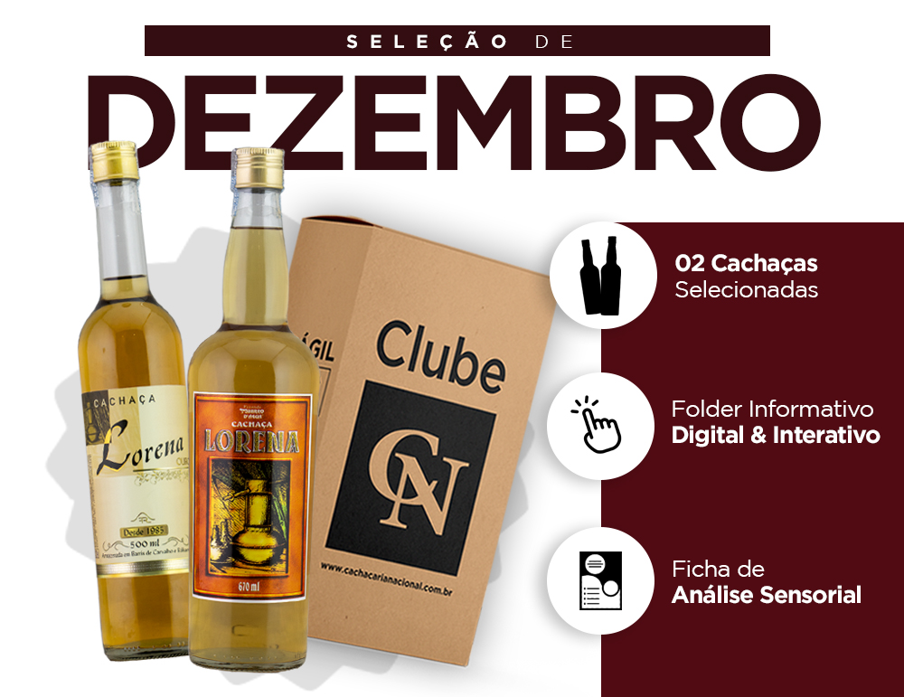 Banner Caixa detalhado DEZEMBRO